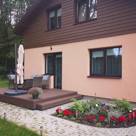Kristinos Apartment Druskininkai Ngoại thất bức ảnh