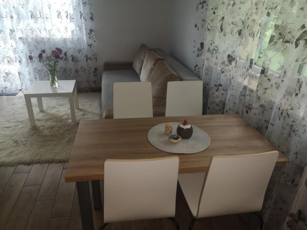 Kristinos Apartment Druskininkai Ngoại thất bức ảnh