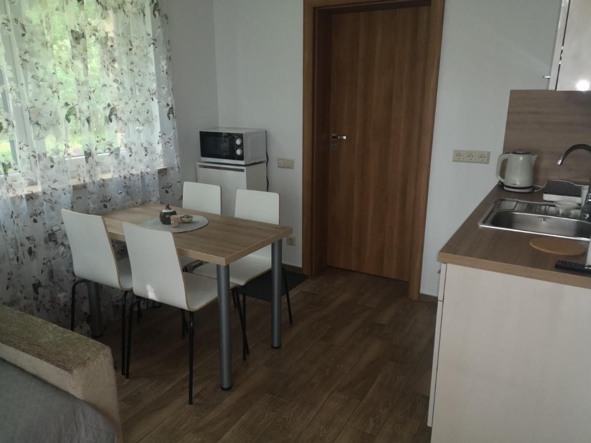 Kristinos Apartment Druskininkai Ngoại thất bức ảnh