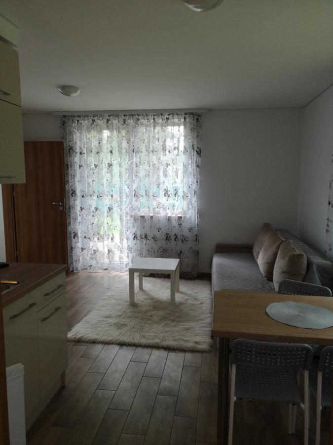 Kristinos Apartment Druskininkai Ngoại thất bức ảnh