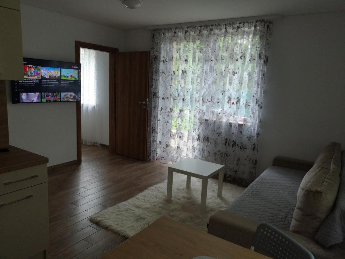 Kristinos Apartment Druskininkai Ngoại thất bức ảnh