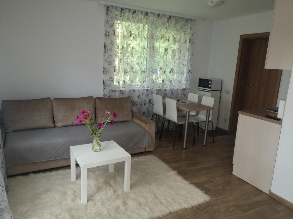 Kristinos Apartment Druskininkai Ngoại thất bức ảnh