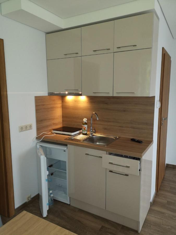 Kristinos Apartment Druskininkai Ngoại thất bức ảnh