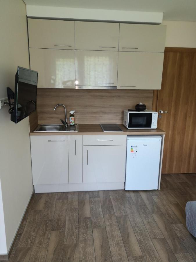 Kristinos Apartment Druskininkai Ngoại thất bức ảnh