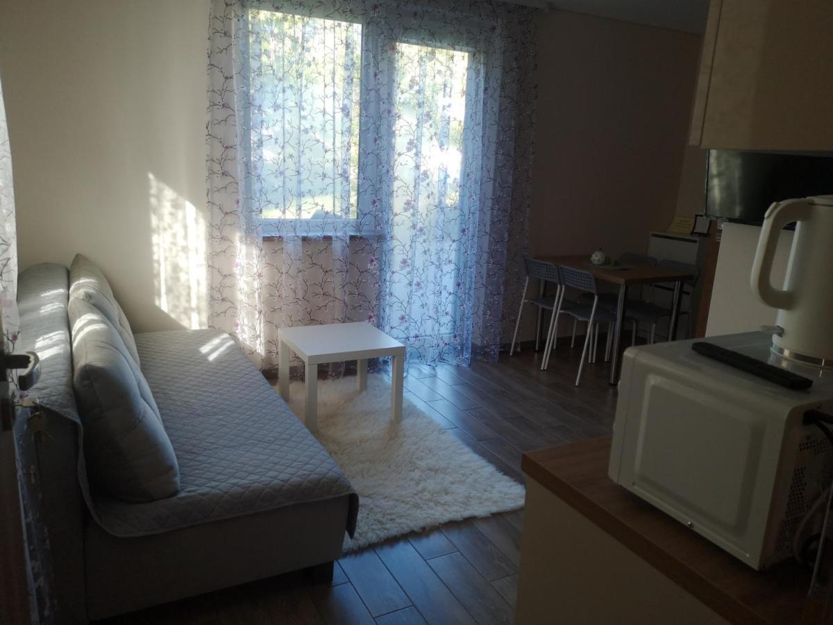 Kristinos Apartment Druskininkai Ngoại thất bức ảnh