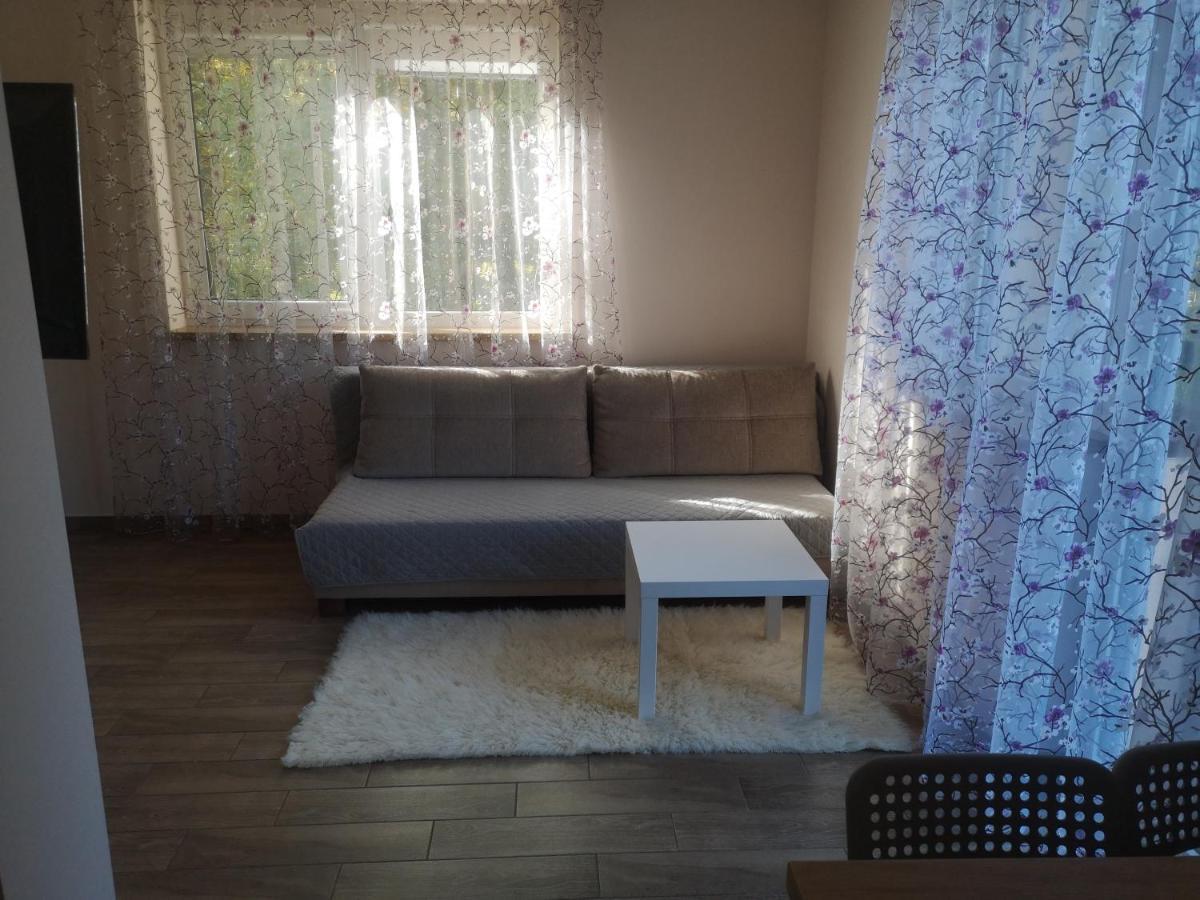 Kristinos Apartment Druskininkai Ngoại thất bức ảnh